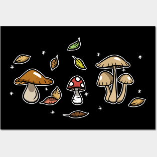 THE AUTUMN SPIRIT Posters and Art